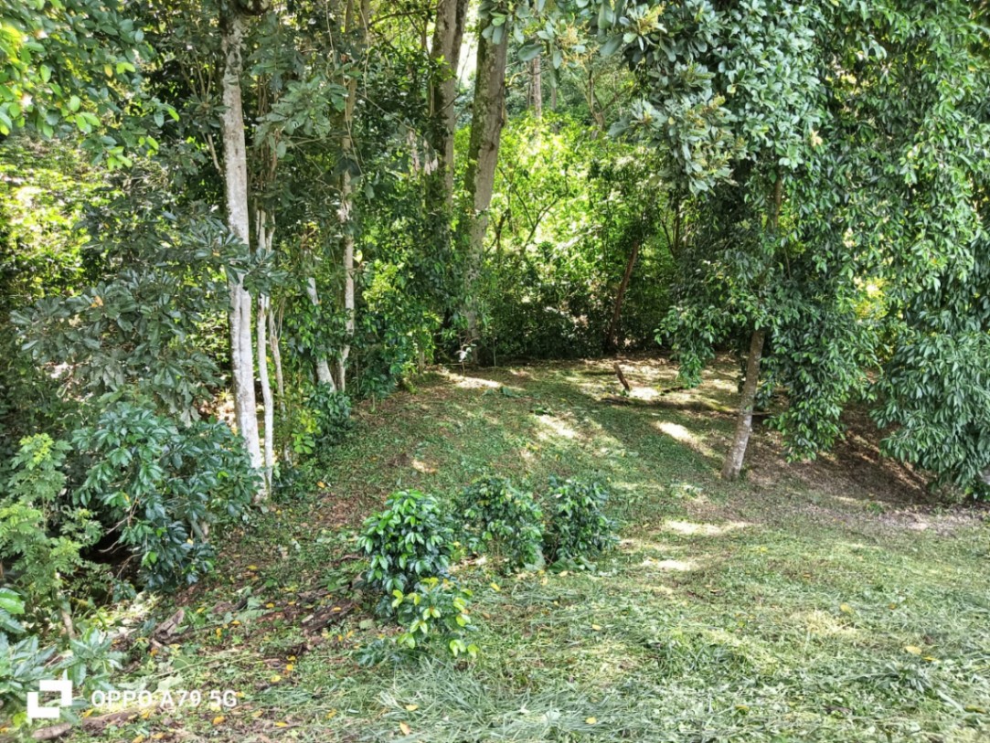 Vereda cañaveral bajo municipio san gil santander 5